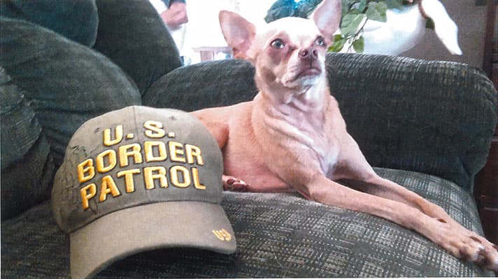 Unos 24 perritos participaron del concurso. El ganador fue Quasi Modo, del estado de Florida.