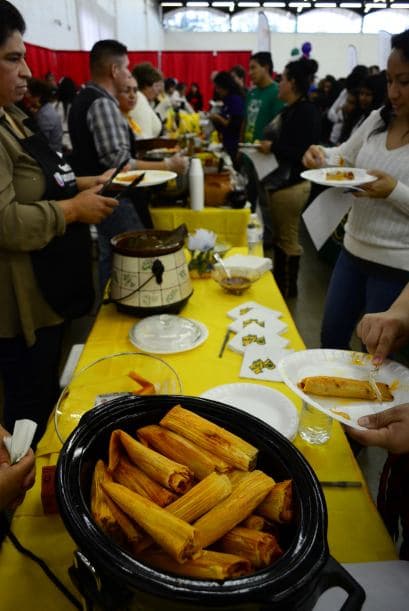Festival Univision 2014