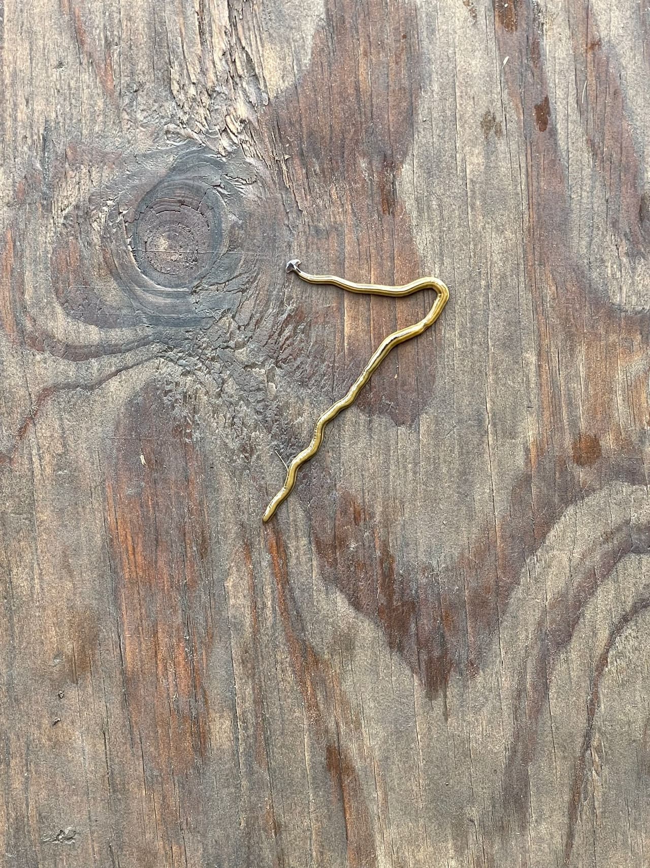 2. Usar vinagre, aceite cítrico o agua salada también ayuda a deshacerse de ellos.