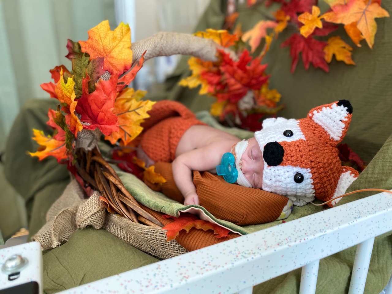 A cada bebé se le dio un certificado de recuerdo de “La calabaza más linda del jardín” y una foto.