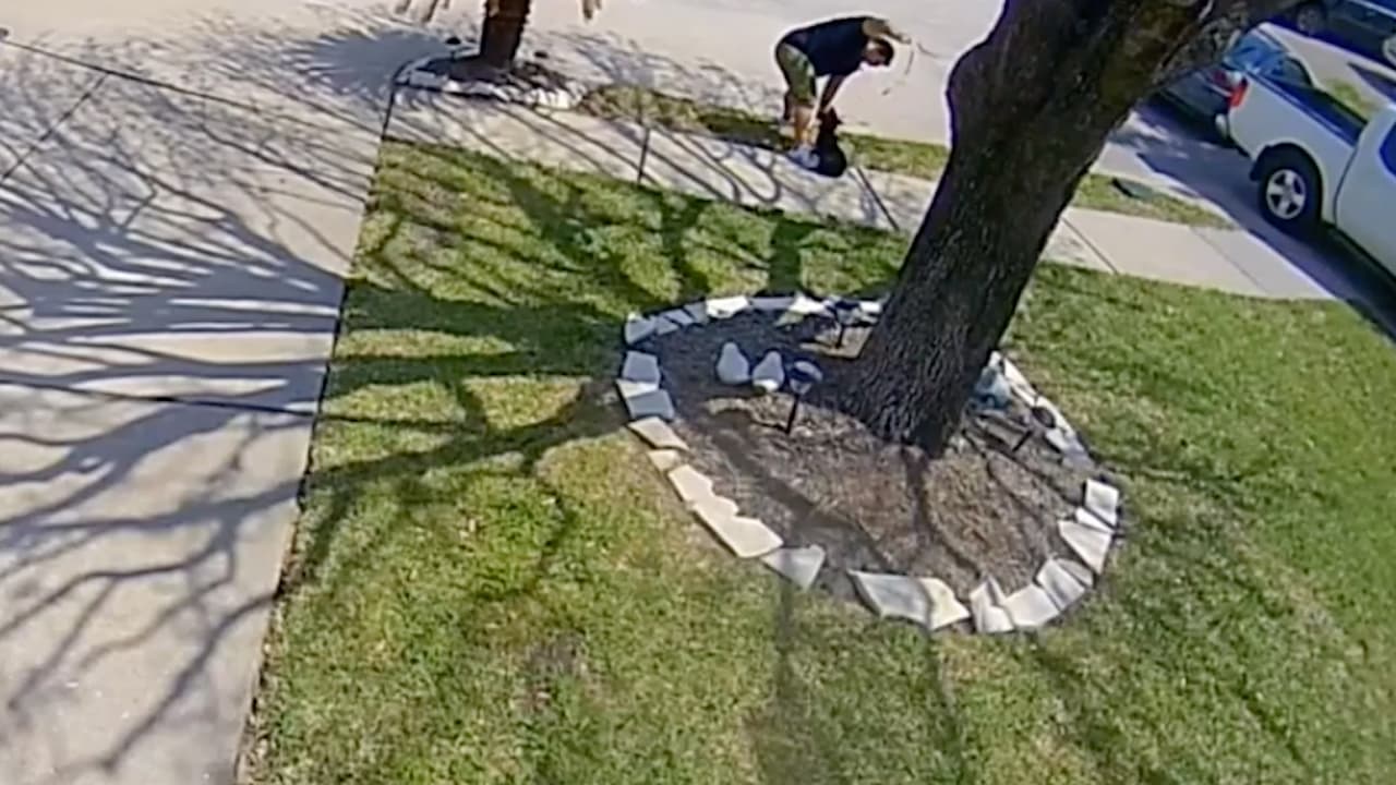 En el mes de marzo un hombre de 
<b><a href="https://www.univision.com/local/houston-kxln/en-video-golpea-a-perro-al-oeste-de-houston-1">Katy golpeó a su perro</a></b> con un citurón y lo patea en múltiples ocasiones.