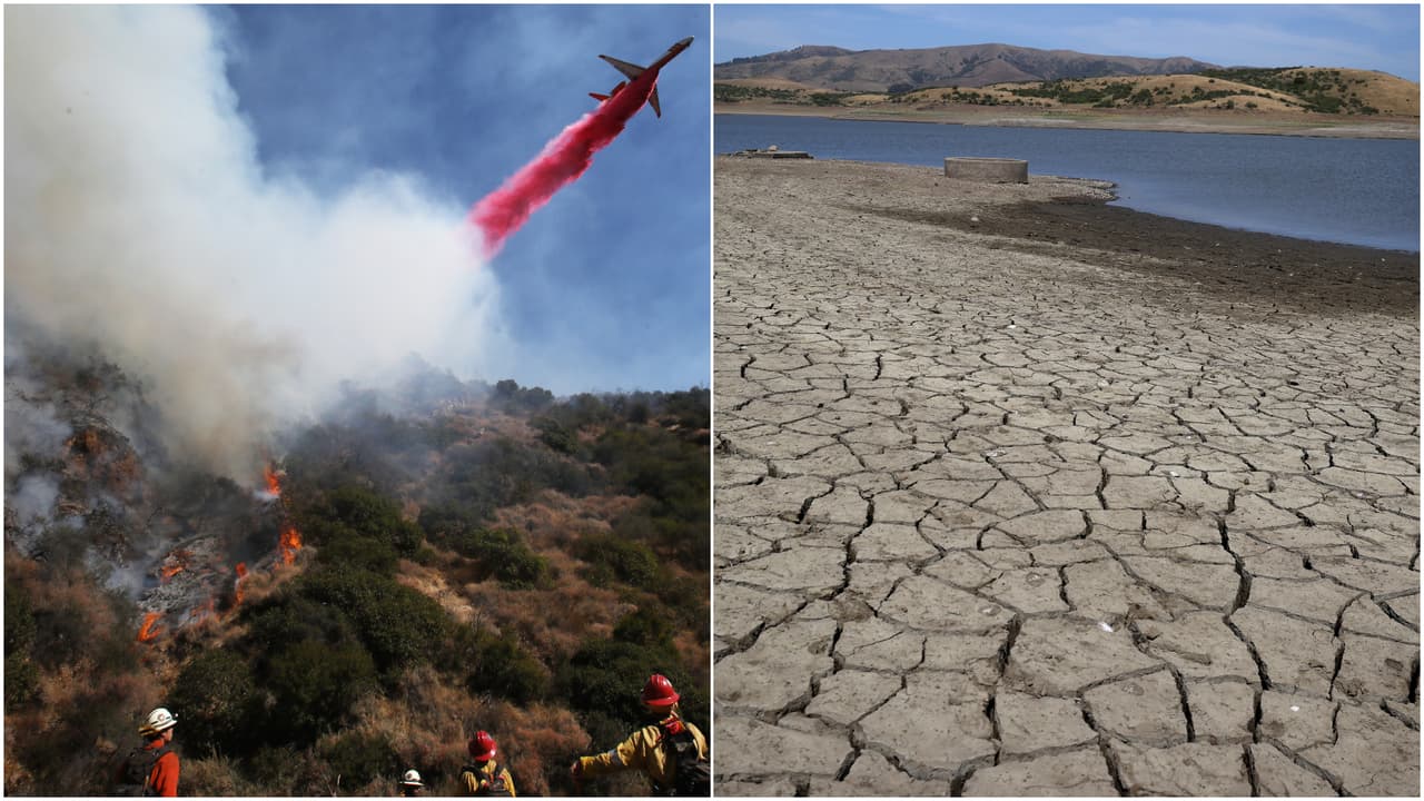 California en la cumbre climática: ¿Estamos a tiempo de revertir la problemática del cambio climático?