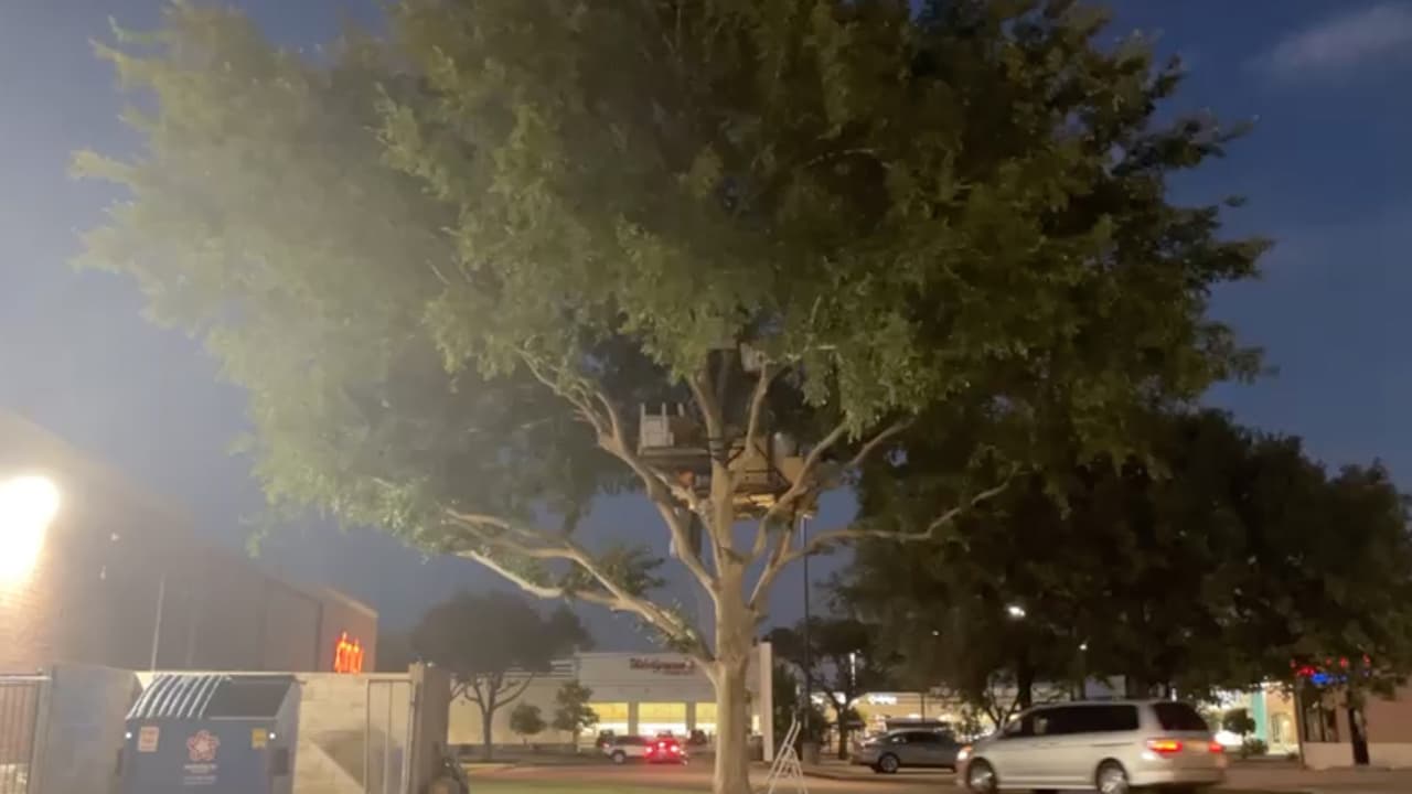 Las reacciones de los usuarios de las redes no se hicieron esperar. "Genial, 
<b>mejor que viva ahí y no debajo de un puente</b>, si no lo van ayudar tan poco lo desanimen a que construya su propio hogar", señala una seguidora de Univision 45.