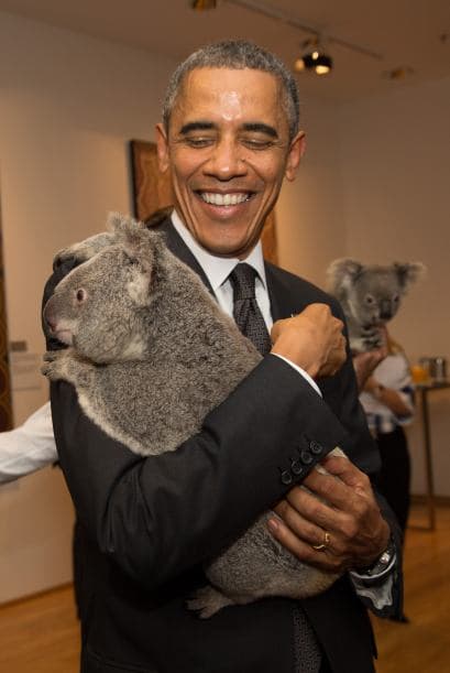 El momento de alegría para varios fue por cortesía de dos integrantes del Dreamworld Wildlife Foundation. Aquí el presidente Barack Obama.