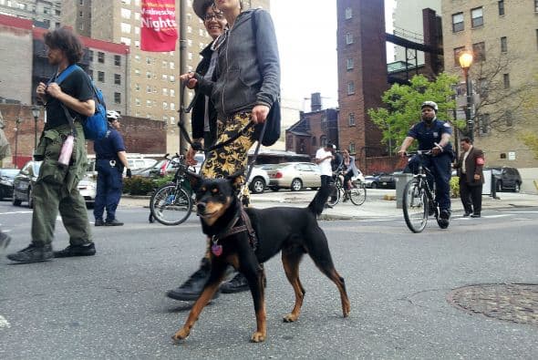Perros también formaron parte del grupo. Esta pareja se unió al evento.