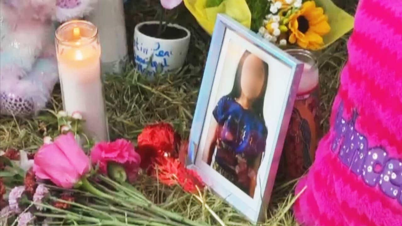 La niña María Elena González y su papá hablaron del “vecino de pelo largo” horas antes del crimen