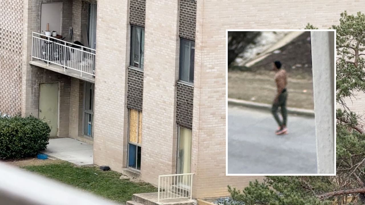 Momentos de terror en College Park: hombre agrede y golpea a niños y vecinas