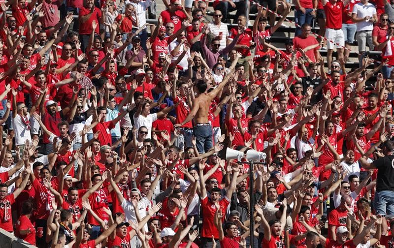 Los aficionados de 
<i>Les Gators </i>montaron una gran fiesta en el Stade des Costières de Nimes.