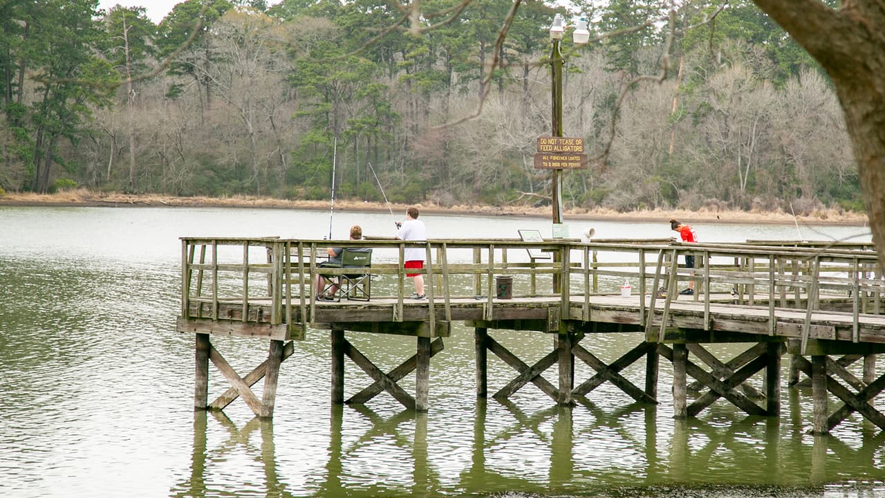 Si te gusta la pesca, entre las especies que puedes encontrar están mojarra, perca, bagre y lubina.
