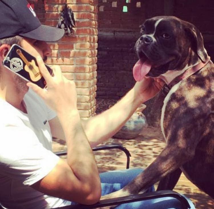 Joss Favela también se une a la lista con su perra 'Laika'.