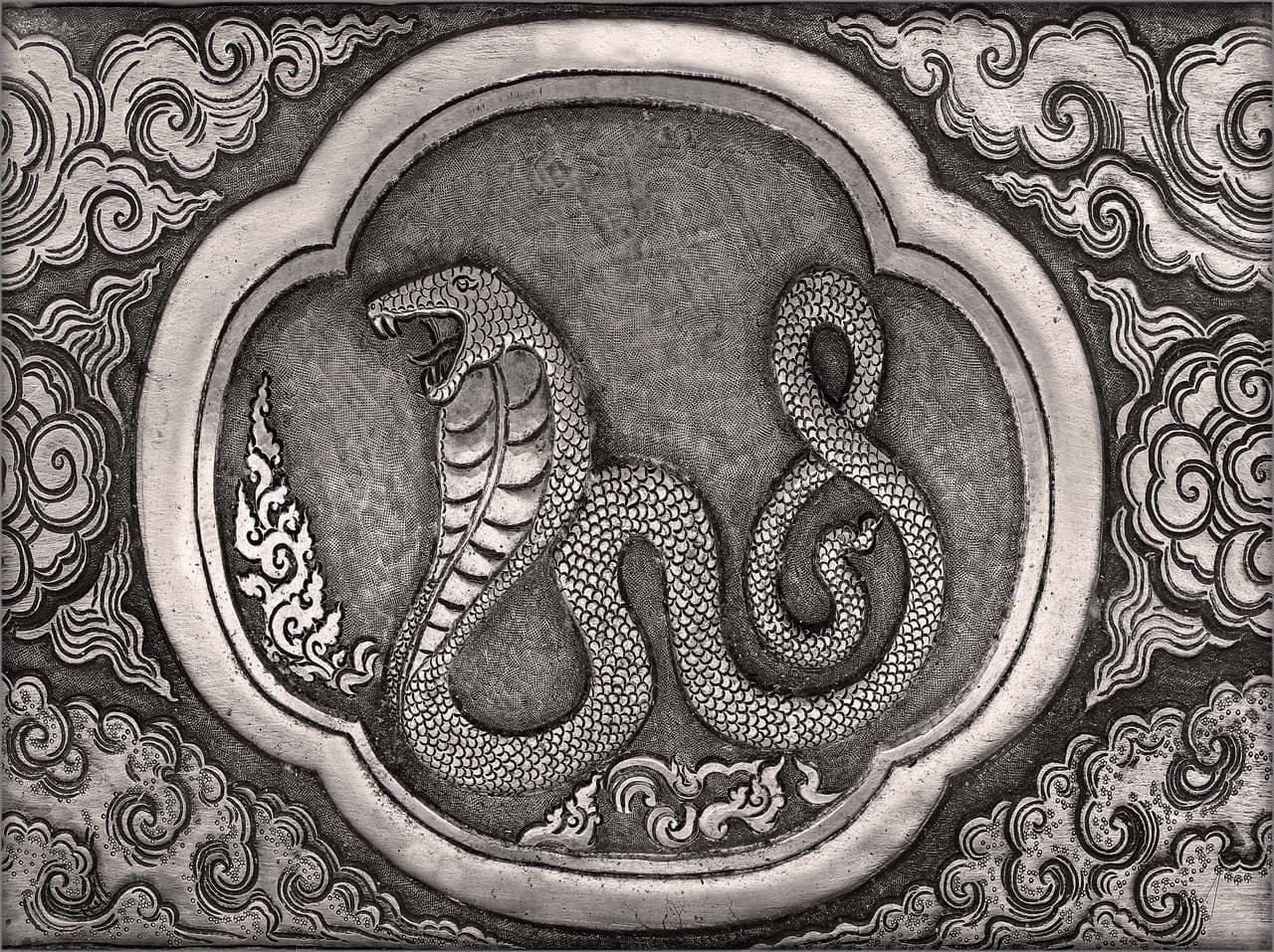 Las siguientes proyecciones son muy específicas para tu signo y en ellas descubrirás las oportunidades que debes aprovechar este mes de la Serpiente, y los peligros que debes evitar.
<br>