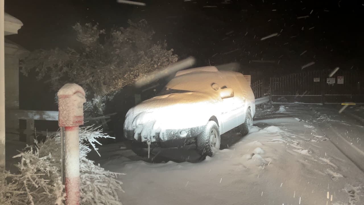 La nieve invadió Mount Hamilton mientras se acerca la Navidad. Expertos de UC Berkeley afirman que cayeron entre 4 y 5 pies de nieve el fin de semana. Mira los detalles.