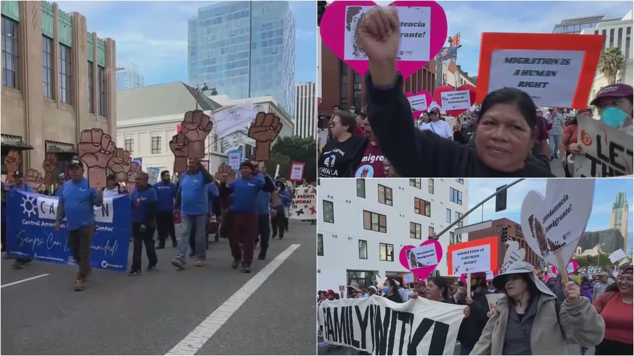 "Cansados de la crueldad": inmigrantes conmemoran el Día Internacional del Migrante