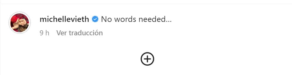 "Sin palabras", dijo Michelle Vieth en su cuenta de Instagram tras compartir algunas imágenes de la celebración.
<br>
