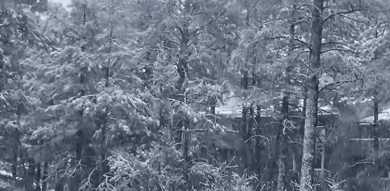 En Flagstaff podrían acumularse
<b>hasta 2 pies de nieve</b>.