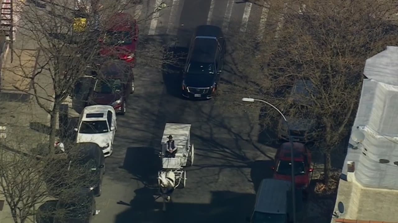 Sepultan a la bebé de 7 meses que murió en un tiroteo en Brooklyn