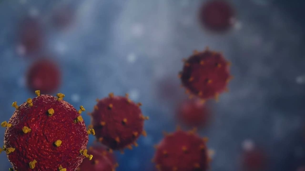 El condado Mohave confirma la primera muerte por hantavirus en Arizona: Esto es lo que se sabe