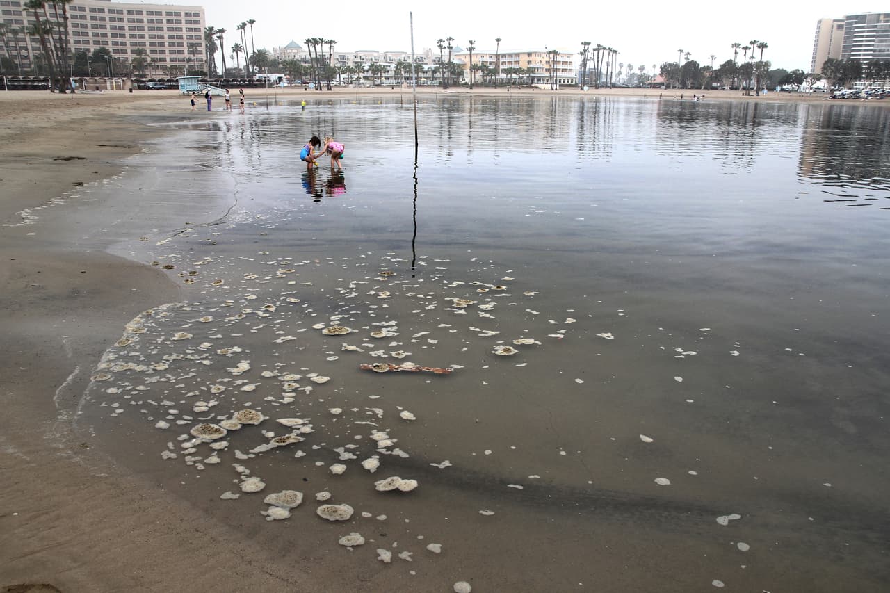 5. 
<b>Mother’s Beach en Marina del Rey ubicada en el condado de Los Ángeles:</b> Esta zona, que también está cerca de un canal, es propensa a la proliferación de bacterias, según el 
<a href="https://healthebay.org/beachreportcard2021/" target="_blank">reporte</a>. 
<br>
<br>“Eso significa que la contaminación bacteriana no se elimina de la costa como ocurre en las playas de mar abierto. El condado de Los Ángeles ha implementado muchos proyectos de mejora de la calidad del agua en el área, pero las características físicas dificultan la eliminación de los altos niveles de contaminación”. Es la única playa del condado de Los Ángeles en la lista de las 10 más contaminadas.