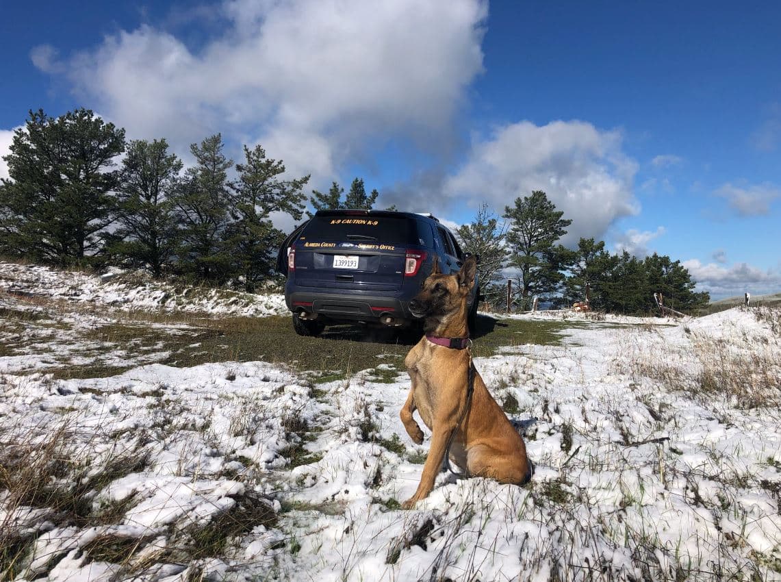 Este lunes las tormentas dieron un espectáculo no visto desde hace mucho tiempo en la región.