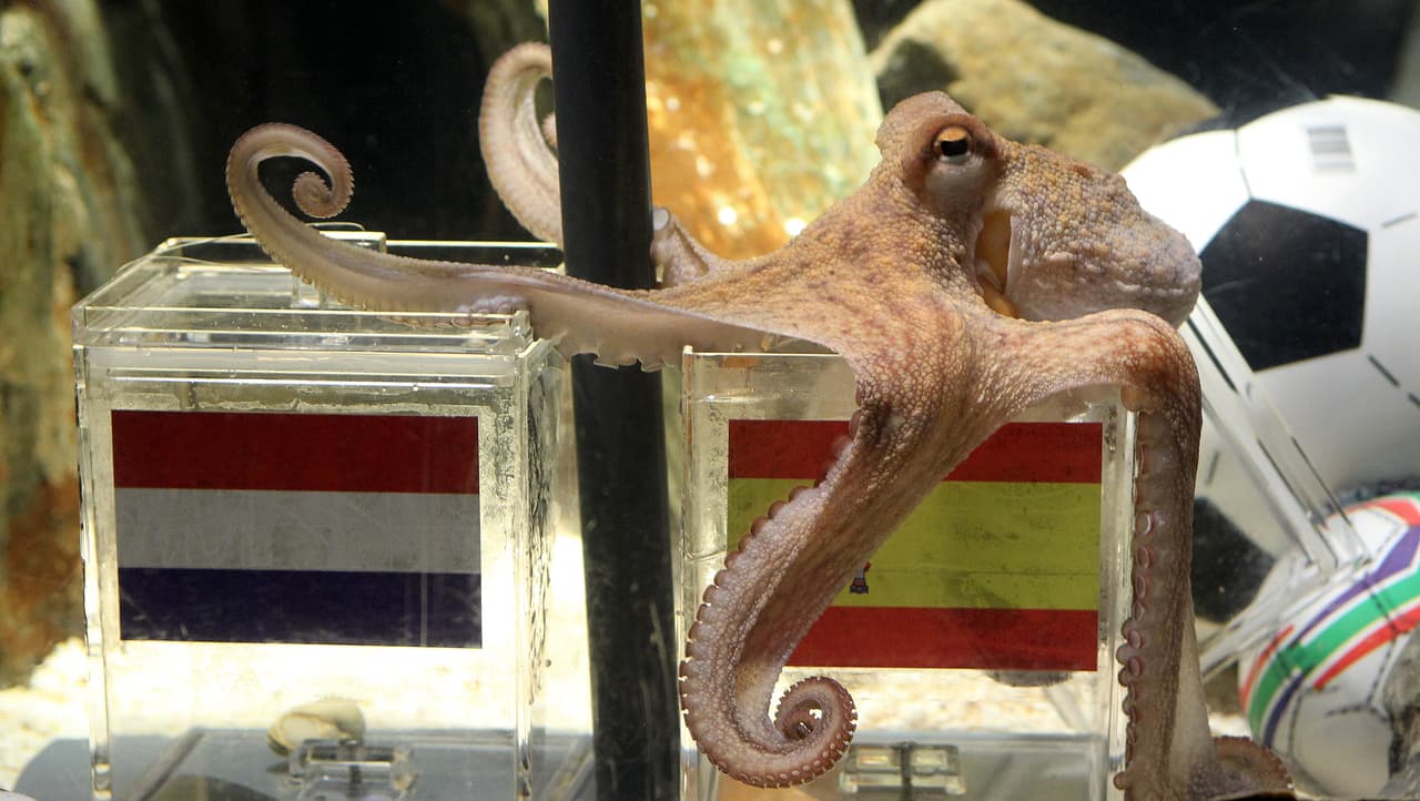 Entre dos equipos con posibilidades muy similares, la elección de Paul inclinó para algunos su favoritismo.