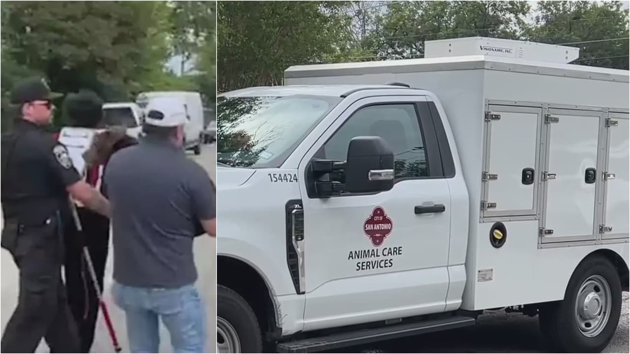 Dueño de grupo de perros involucrado en ataque a vecina en San Antonio se disculpa