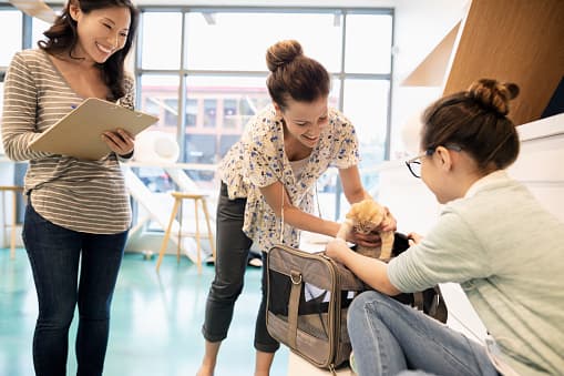 Presente su nueva mascota a la familia- La Liga de Rescate de Animales de Boston recomienda traer a los miembros de la familia uno por uno, para encontrarse con la nueva mascota.