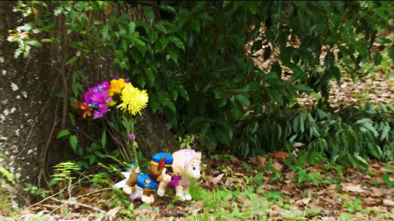 Masacre en Plant City: asesinan a madre, dos niños y abuela; no hay arrestos