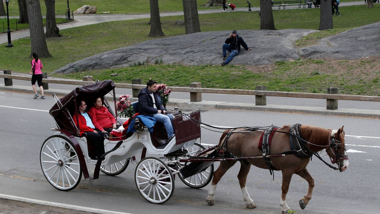 ¿El fin de una actividad de años?: El futuro de los carruajes de caballos en Central Park, Nueva York