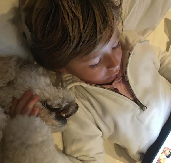 'Vago' lleva ese nombre porque Fernando y Mateo lo encontraron vagando por las calles y así fue como lo llevaron a casa.