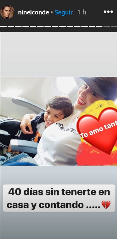 El pasado 20 de abril Ninel Conde acudió a la Fiscalía General de Justicia de la Ciudad de México para interponer una denuncia "por los 
<b>delitos de violencia familiar y violencia de género en contra de Giovanni Medina</b>", explicó Alonso Beceiro Villegas, abogado de la cantante al programa '
<a href="https://www.tvazteca.com/aztecauno/venga-la-alegria/lo-ultimo/videos/hablamos-con-ninel-conde-quien-ya-tomo-acciones-legales-en-contra-de-su-ex-pareja-giovanni-medina-en-relacion-a-la-custodia-de-su-hijo" target="_blank">Venga la alegría</a>'.
<br>