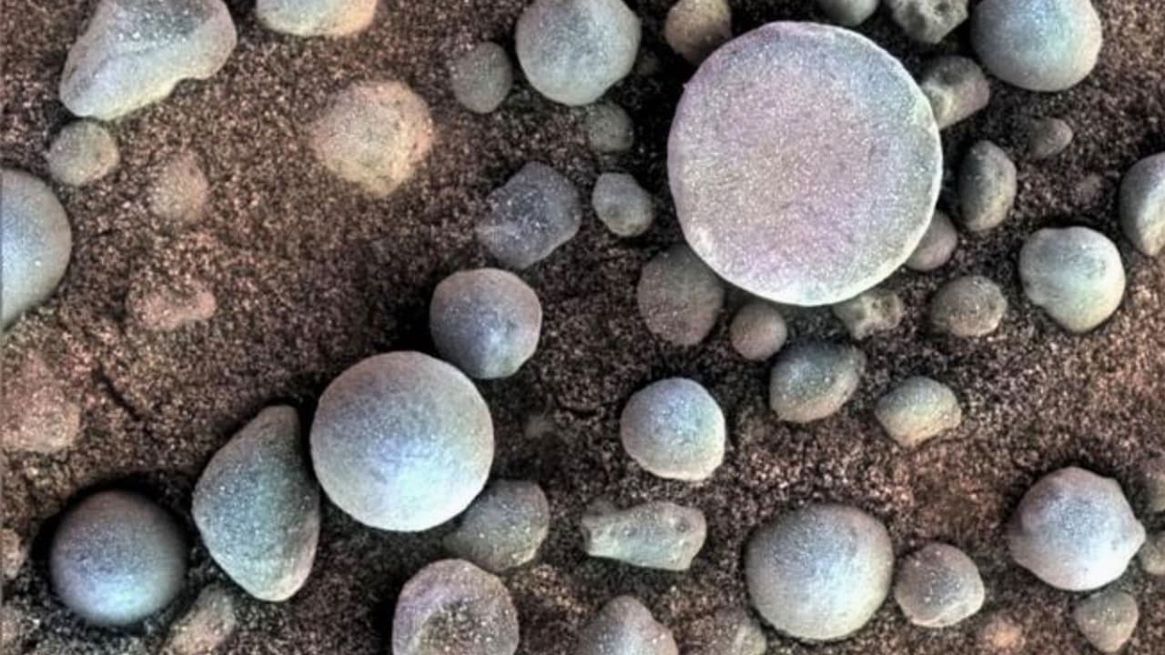 El explorador Oppy muestra que el antiguo Marte tenía mucha agua. Estas esferas de hematita, apodadas "arándanos", se formaron en presencia del líquido.