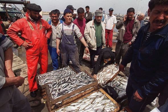 Argelia es una nación donde, según el informe, se producen repetidas infracciones a los derechos laborales, y por ello se encuentra en la novena posición.