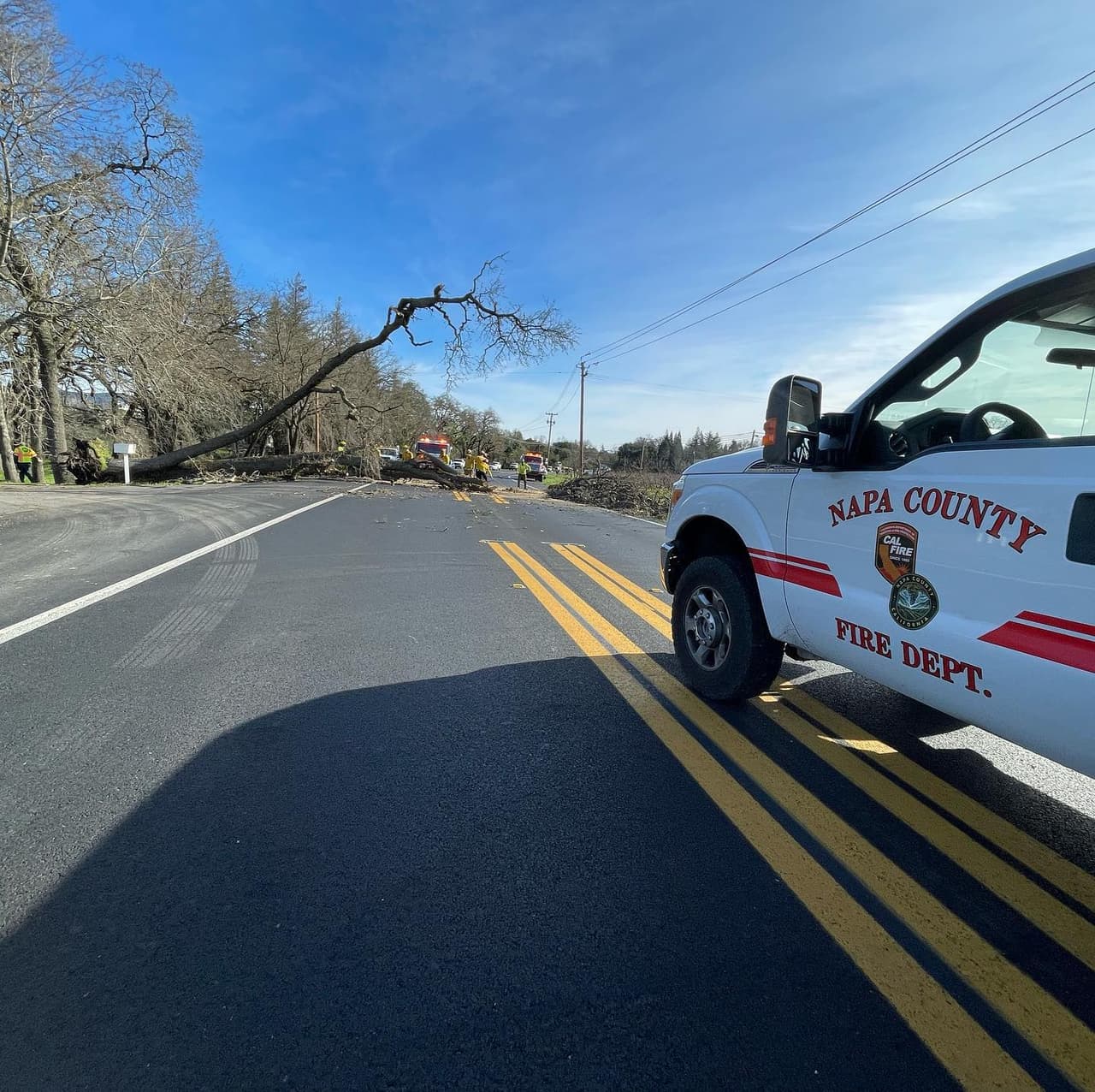 Uno de ellos fue el de este árbol que quedó bloqueando por completo el tránsito vehicular sobre Silverado Trail, en la ciudad de Napa. Los bomberos y el personal de la municipalidad lograron despejar la vía en cuestión de minutos.