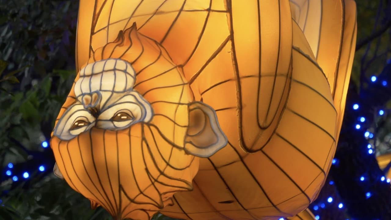 En los recorridos se destacan faroles con forma de animales en tamaño real.