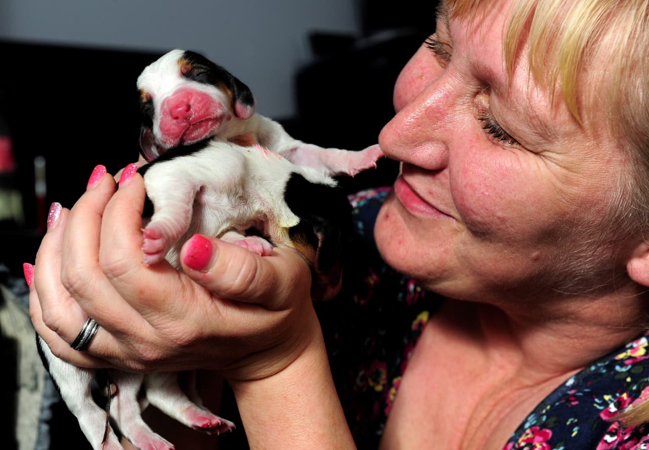 Afortunadamente Tessa tiene a Michelle a su lado, quien le ayuda a alimentar las 14 'bocas'.
