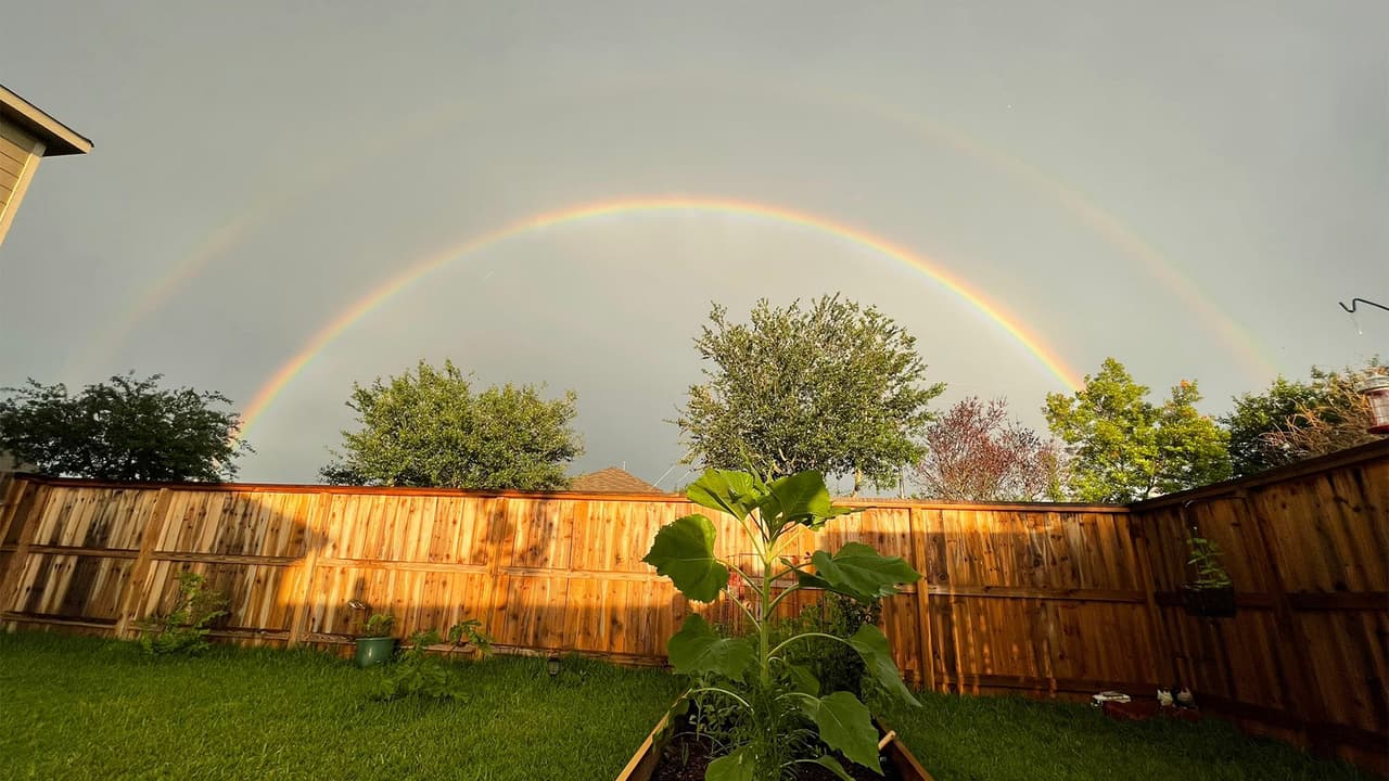 El doble arcoíris pudo ser ver visto por varios residentes del área de 
<a href="https://www.univision.com/temas/houston">Houston</a> luego de un día muy lluvioso.