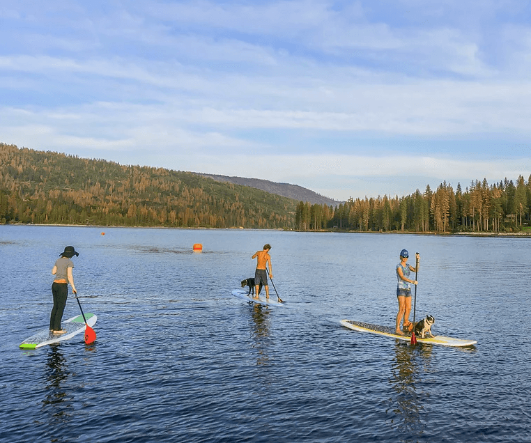 Actividades más económicas incluyen la práctica de 
<b><a href="https://www.univision.com/noticias/trending/jessica-fox-oro-limpico-canotaje-kayak-condon-tokyo-2020">kayak</a> y tablas de remos (Stand up paddle).</b> Por aproximadamente $20 se puede disfrutar del ejercicio incluyendo 
<b>a sus macotas.</b>
