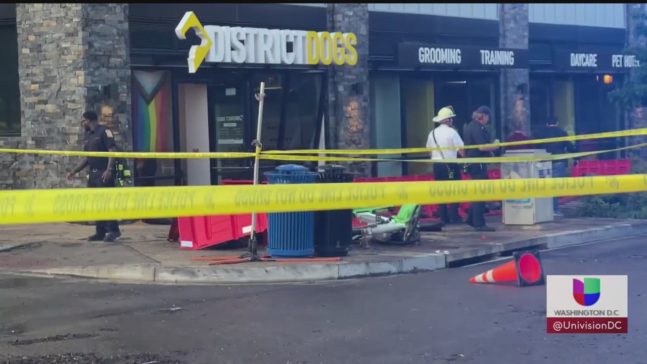 Comenzaron a difundirse los relatos de dolor de quienes perdieron a sus mascotas por las inundaciones en DC, que provocaron la 
<b><a href="https://www.univision.com/local/washington-dc-wfdc/district-dogs-no-reabrira-muerte-ahogamiento-perritos-inundacion" target="_blank">tragedia en District Dogs</a></b>. Mientras, tanto el propietario del sitio como las autoridades anunciaron la implementación de sendas medidas.