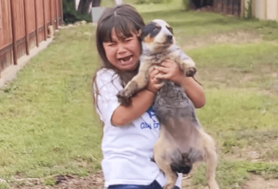 Niña encuentra a su perrita perdida y el video de su reacción hizo llorar a todo Internet