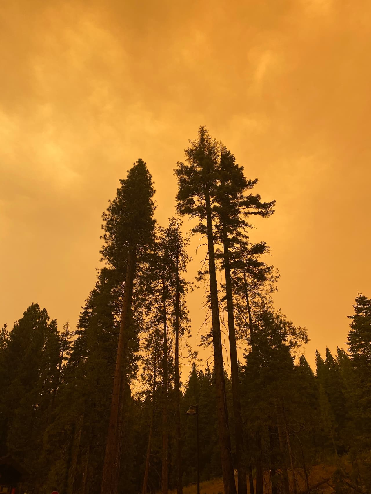 El área sur del Parque se encuentra bajo advertencia de evacuación, lo que significa que los residentes de las áreas de Fish Camp y otros sectores del condado de Mariposa deben estar preparados para abandonar sus casas, en caso que las condiciones climáticas cambien.