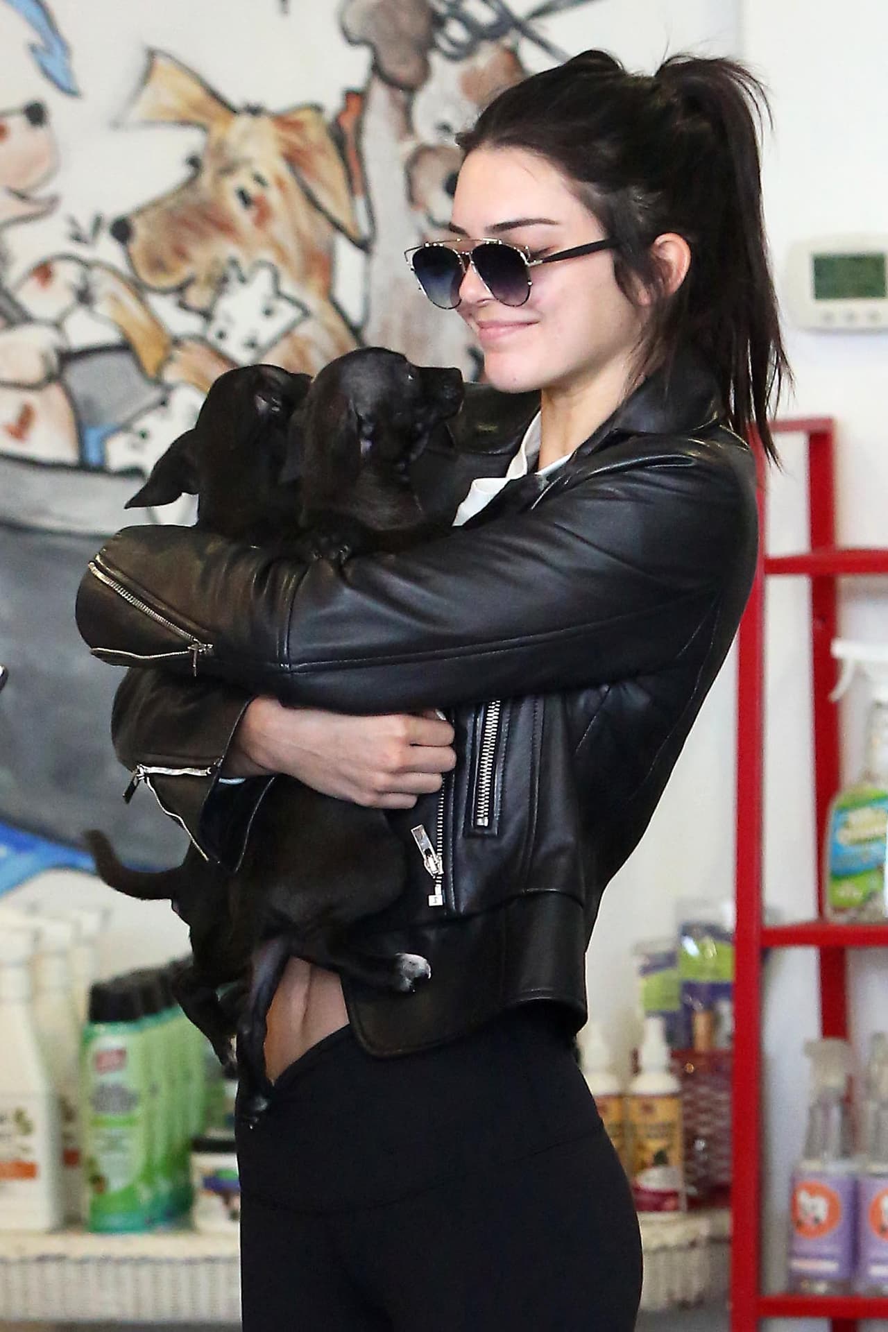 Durante su caminata, Kendall entró a una tienda de mascotas e inmediatamente cargó a dos tiernos cachorritos.