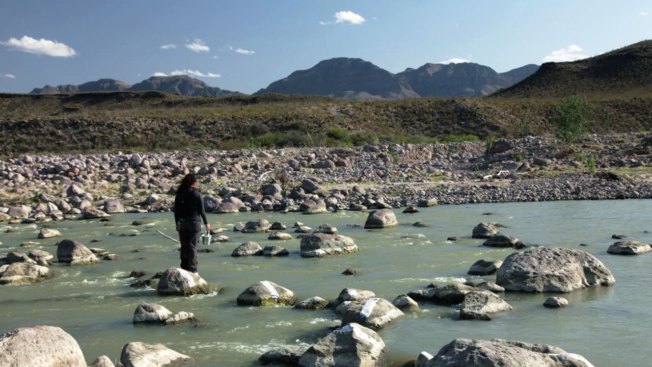 La mexicana que pinta de blanco las piedras por dónde se puede cruzar el Río Bravo