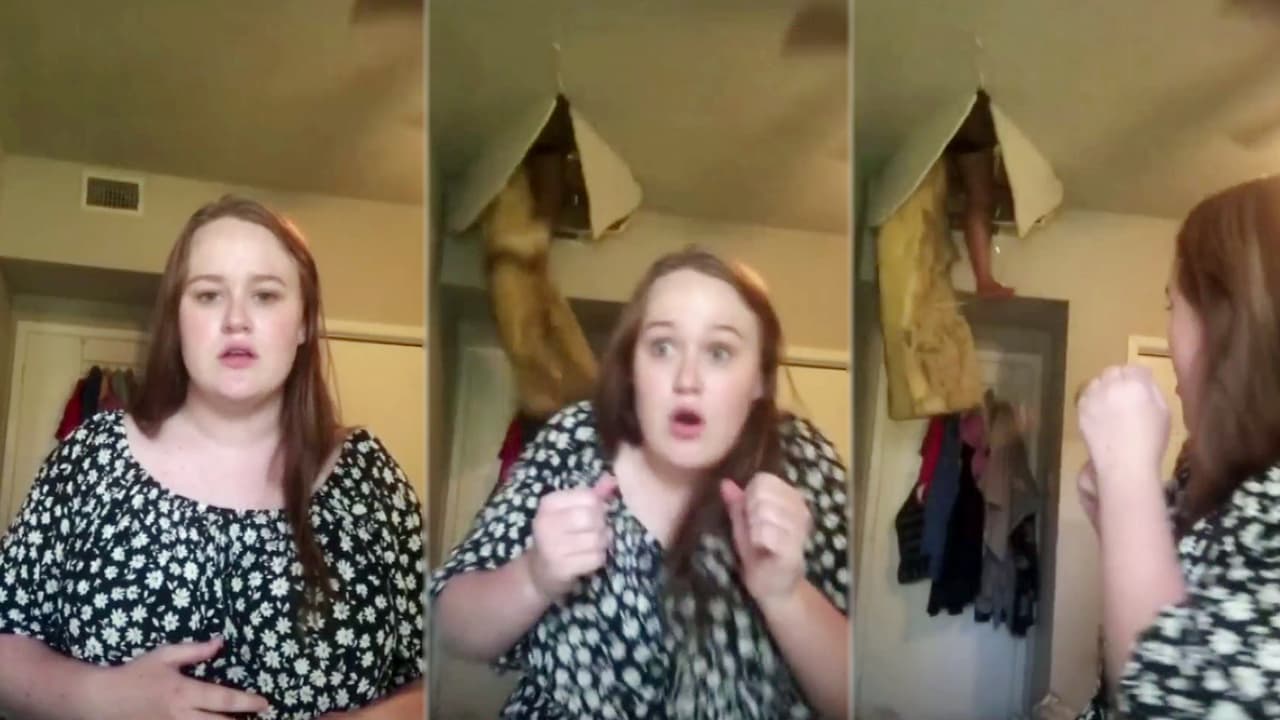 Otra cosa sorprendente es este video que dio la vuelta al mundo gracias a las redes sociales: 
<a href="https://www.univision.com/shows/despierta-america/su-mama-cayendo-del-techo-se-viraliza-en-tiktok-el-video-del-susto-que-se-llevo-una-joven-mientras-cantaba-video">una chica haciendo una audición en video cuando de pronto su mamá, literalmente, le cayó del techo</a>.