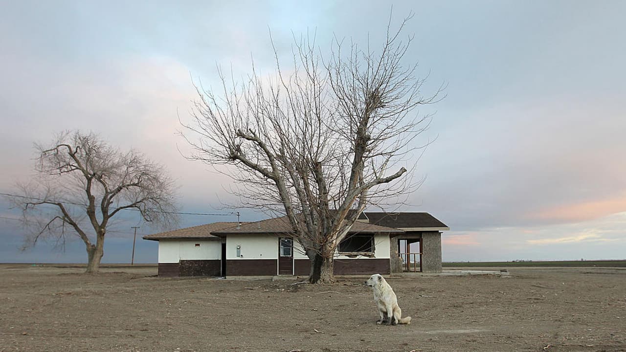 Cambio climático: ¿cómo está impactando actualmente al planeta y qué se pronostica para los próximos años?