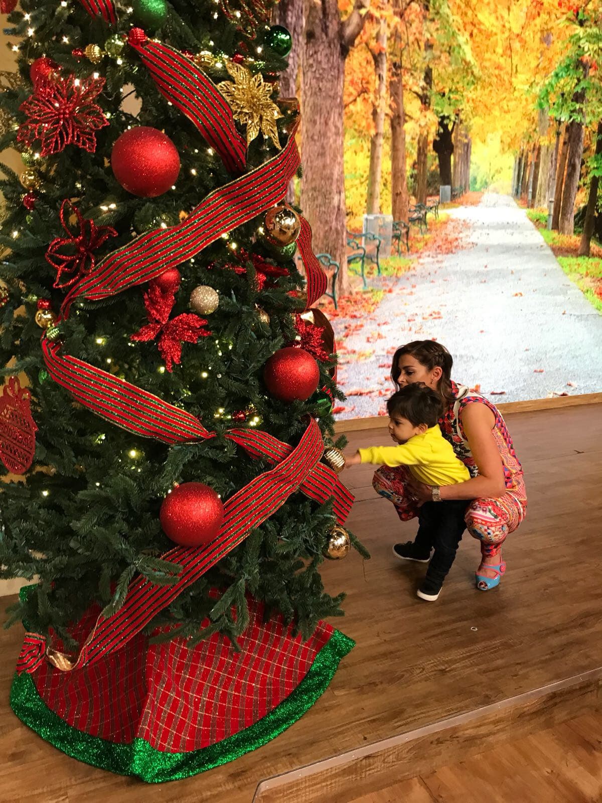 Para Lourdes Stephen la Navidad comenzó en Despierta América, cuando acompañada de su pequeño Michael Victor visitó el arbolito.