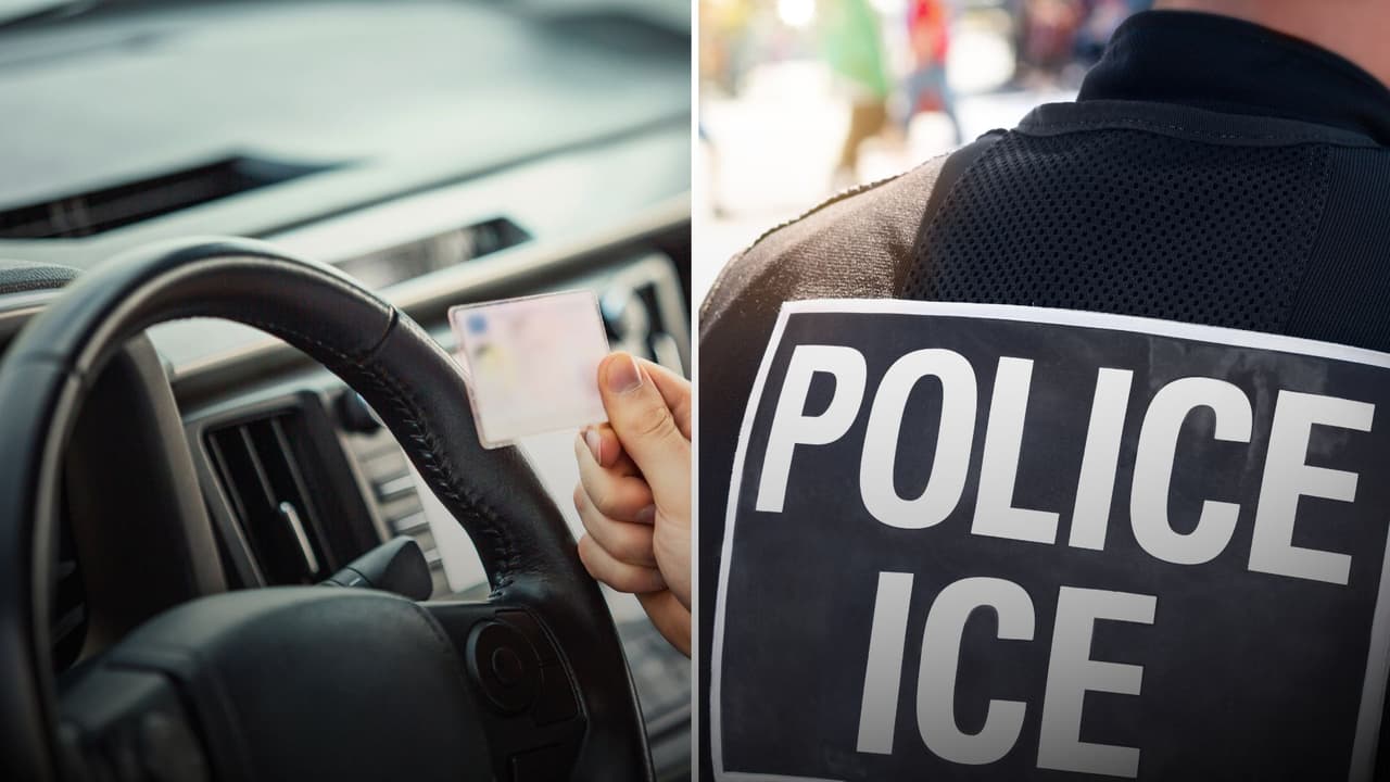 ¿Tu licencia de conducir prueba tu estatus migratorio? Lo que todo migrante en EEUU debe saber