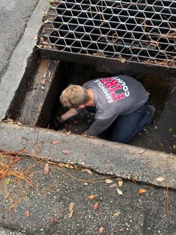 Los equipos de la estación 36 llegaron el domingo por la mañana a la escena y pudieron reunir al pato con su familia.
<br>