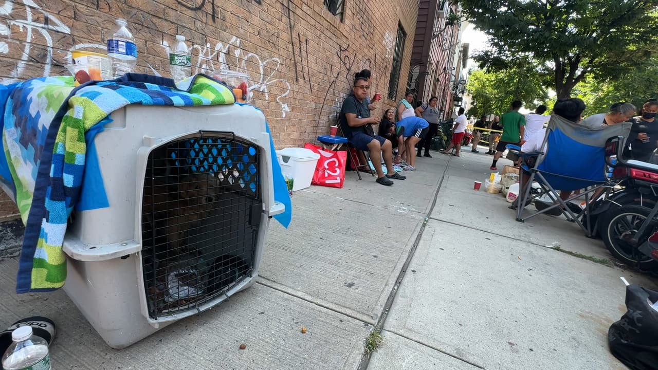 Unas 17 personas quedaron sin hogar a causa del siniestro.
<br>