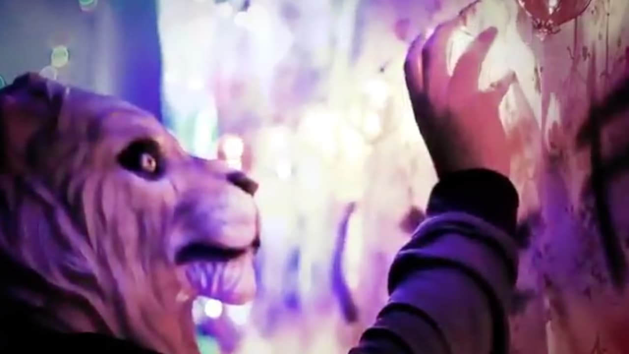 ¡Ya es Fiera! De manera particular, León anuncia el fichaje de Leo Ramos