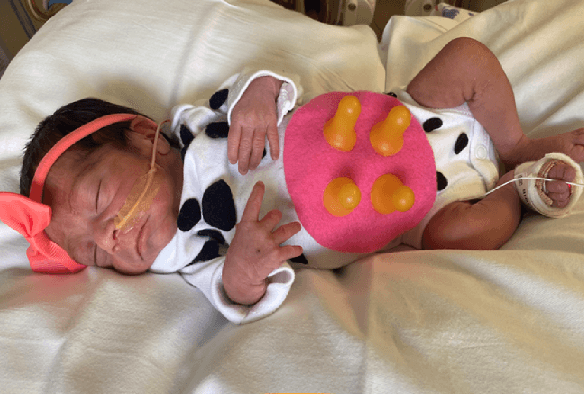 Una preciosa vaquita, ya quiere lechita para dormir.